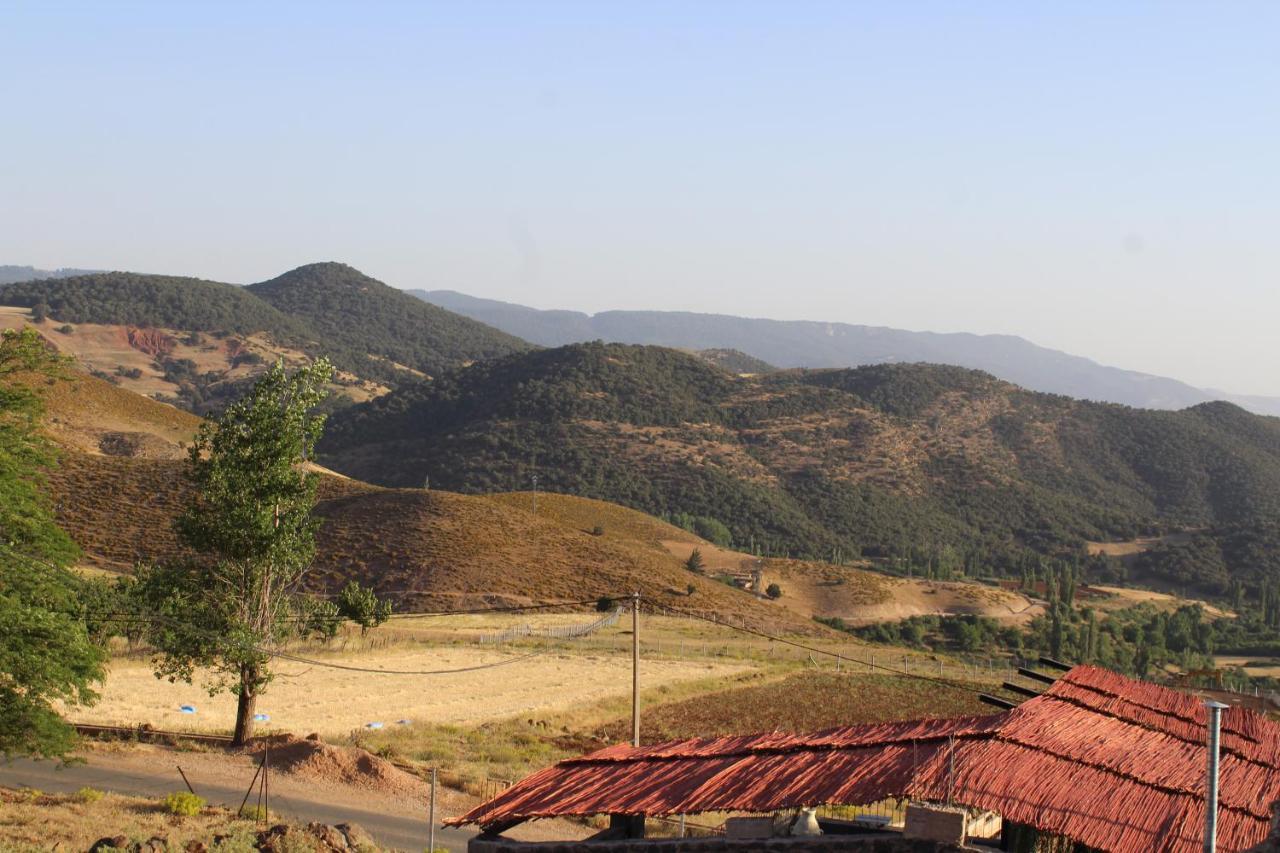 La chèvre de monsieur Seguin Hotel Ifrane  Esterno foto